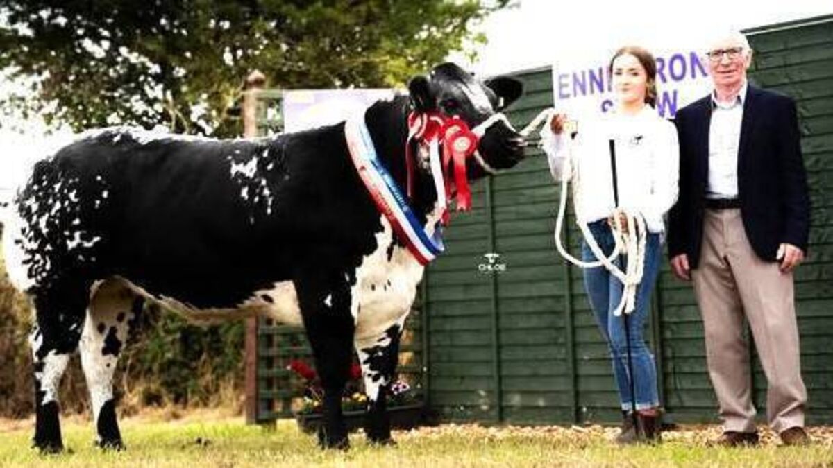 Record crowds attend brilliant Enniscrone Show