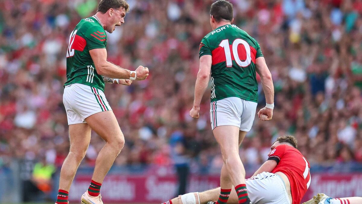 Overlooked Mayo remain a dangerous animal