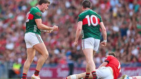 Overlooked Mayo remain a dangerous animal 