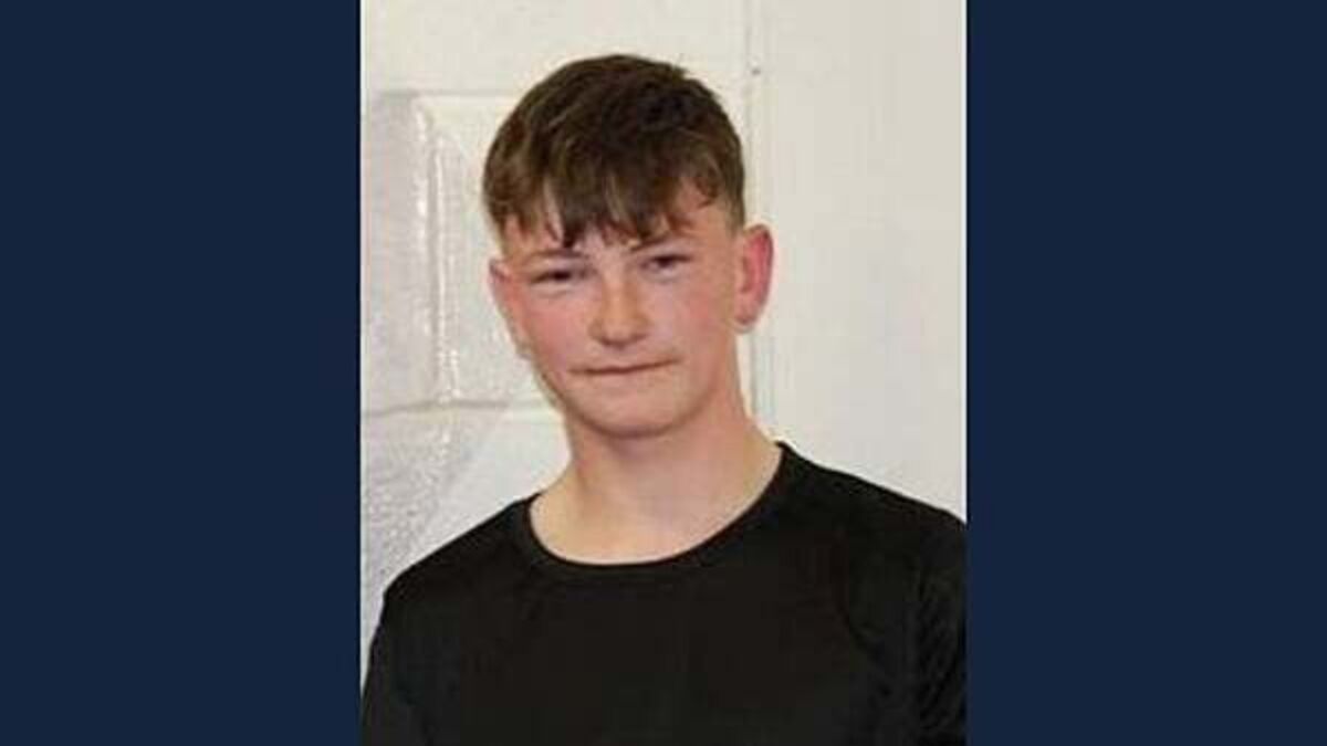 Boy (15) who died after getting into difficulty at Lough Ree named