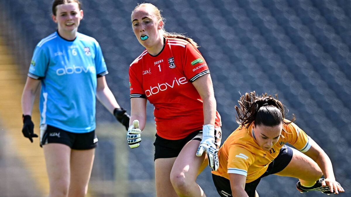 Sligo are squeezed out by Saffrons
