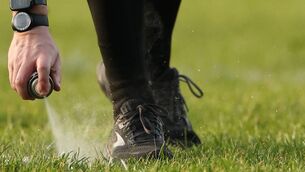 <p>The referee marks a free-kick position. Mandatory Credit ©INPHO/James Crombie</p> <p>The referee marks a free-kick position. Mandatory Credit ©INPHO/James Crombie</p>
