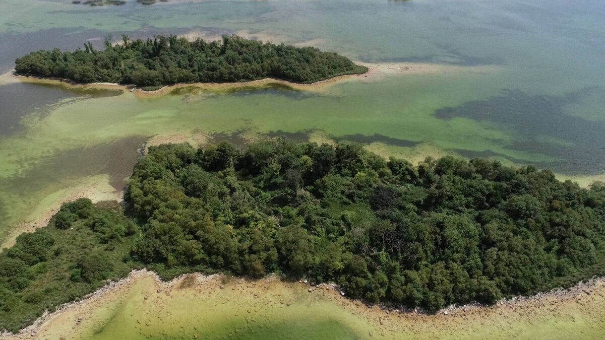 Local Notes: 'Twin Islands' on Lough Carra captured in all their glory