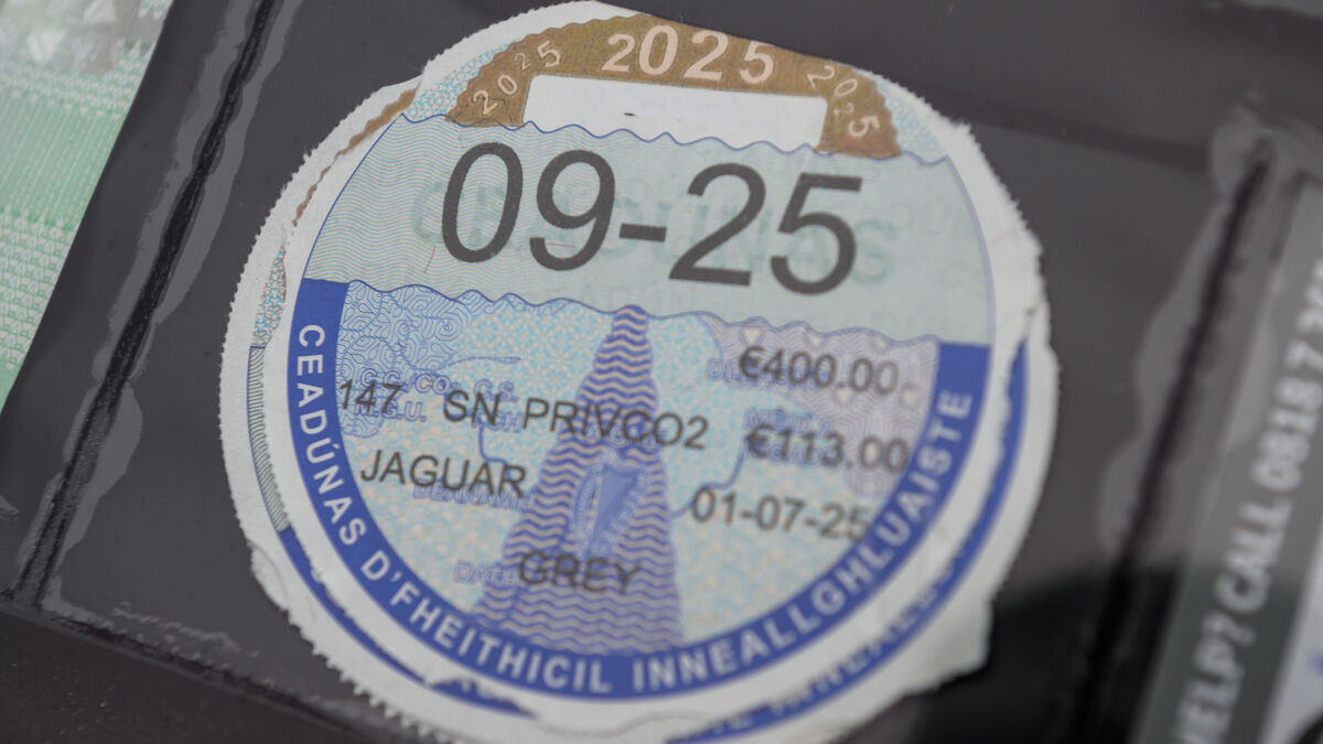 Councillors back Ballina Motor Tax Office after strong year