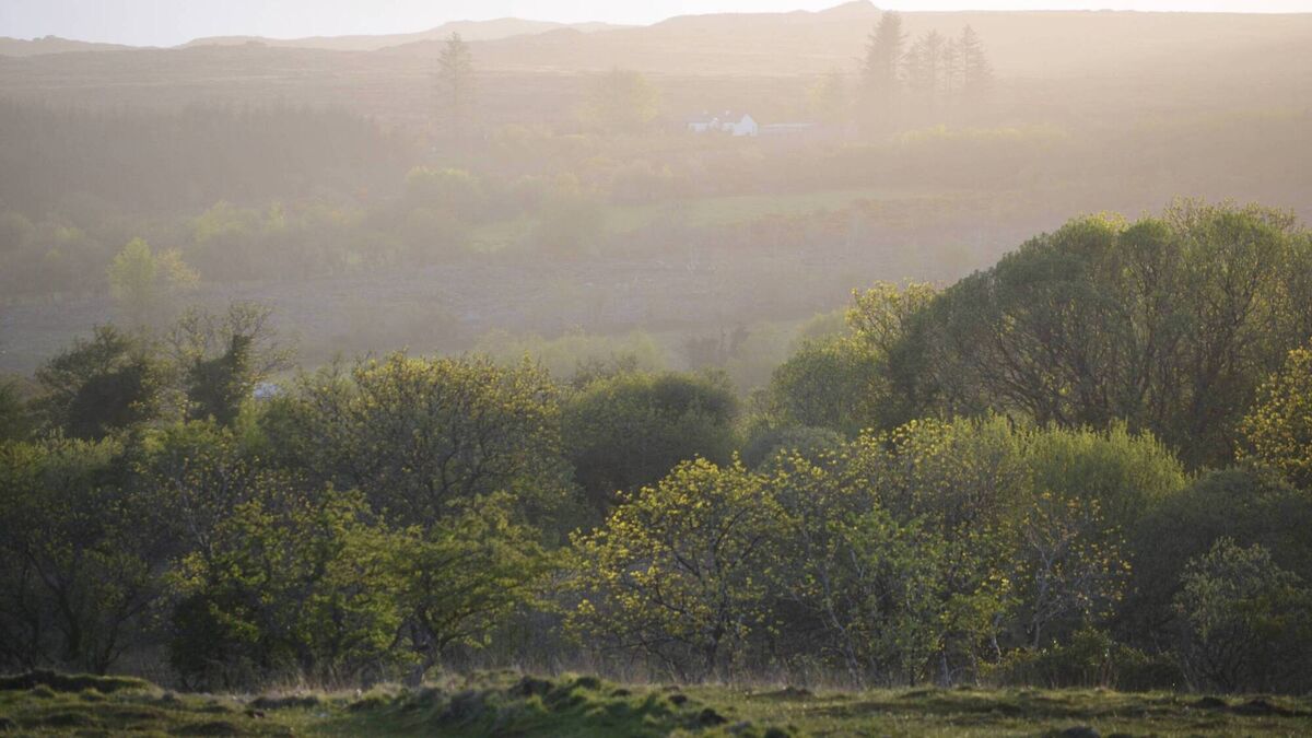 Ox Mountains were an inspiration for Yeats