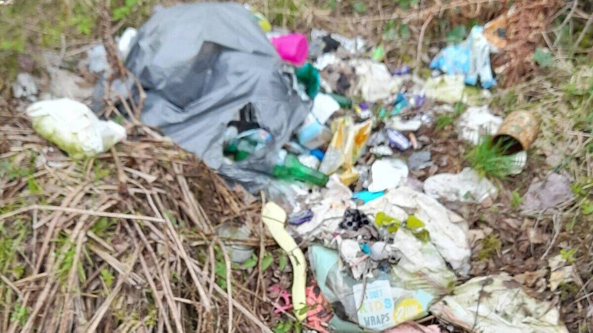 Rubbish makes mockery of 'Litter Free' signage