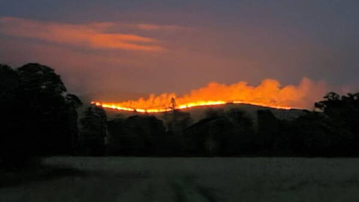 Smoke from Tipperary wildfire spreads across Cork as Coillte appeal to public to stay away