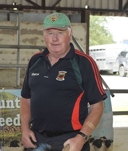 Mikey O'Toole's devotion to Mayo football sets him apart from most other supporters. Mikey O'Toole's devotion to Mayo football sets him apart from most other supporters.