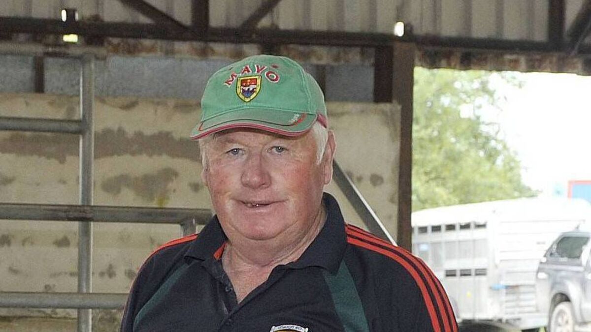 All-Ireland Final countdown: An islanders’ journey to Croke Park