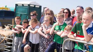 <p>Crowds enjoying a recent Erris Agricultural Show.</p> <p>Crowds enjoying a recent Erris Agricultural Show.</p>