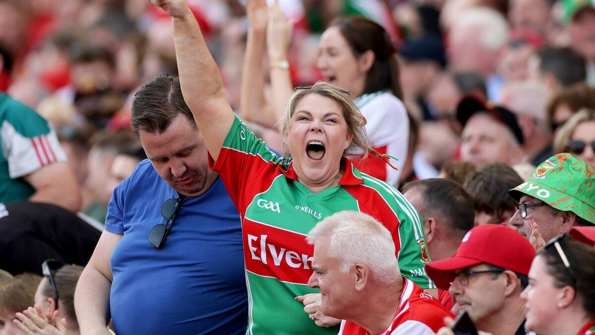 All-Ireland Countdown: Final bark would cap year of the underdog