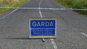 Gardaí investigate suspected murder-suicide after father and son found dead in Dublin