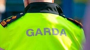 Danone recalls baby formula batches produced in Ireland as toxin scare widens Danone recalls baby formula batches produced in Ireland as toxin scare widens