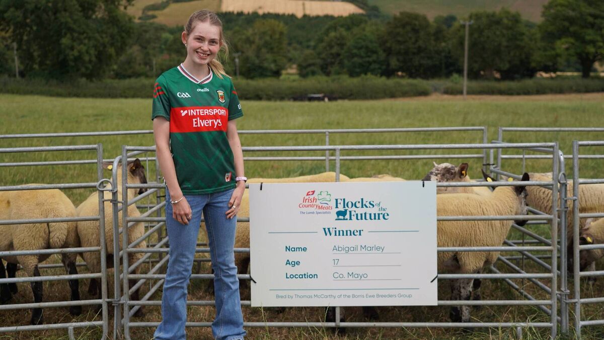 Teenage Mayo sheep farmer to take part in national initiative