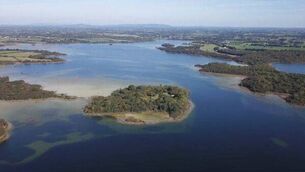 <p>The outbreak has been confirmed at Annie's River, Lough Carra</p> <p>The outbreak has been confirmed at Annie's River, Lough Carra</p>