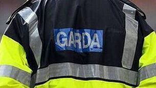 <p>Gardai are investigating the matter</p> <p>Gardai are investigating the matter</p>