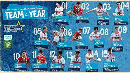 Cork dominates the Electric Ireland Minor Football Team of the Year