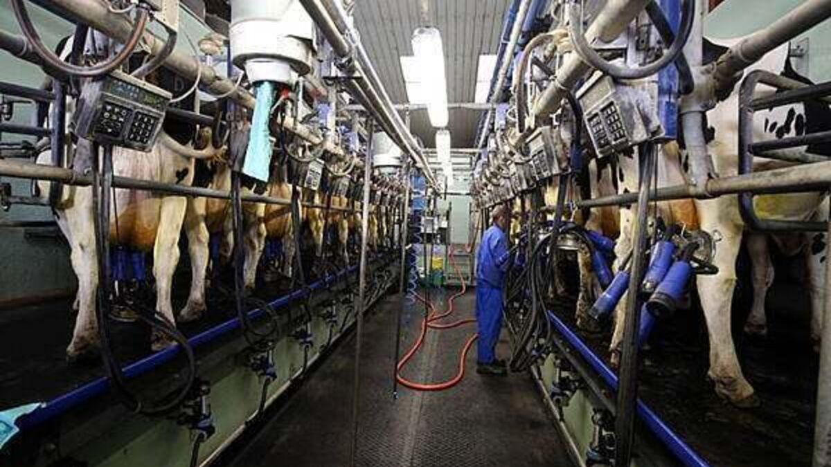 Glanbia hikes profit forecast as weight-loss drugs boost demand for protein products