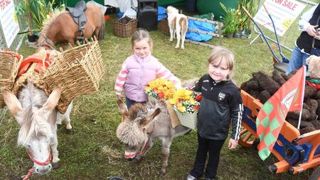 Local Notes: Caoimhe and Frankie enjoy Bonniconlon Show.