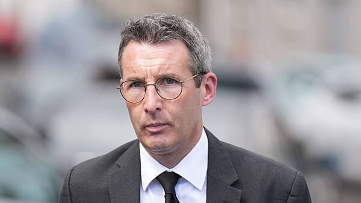 Union calls for independent expert panel to review cull of cows