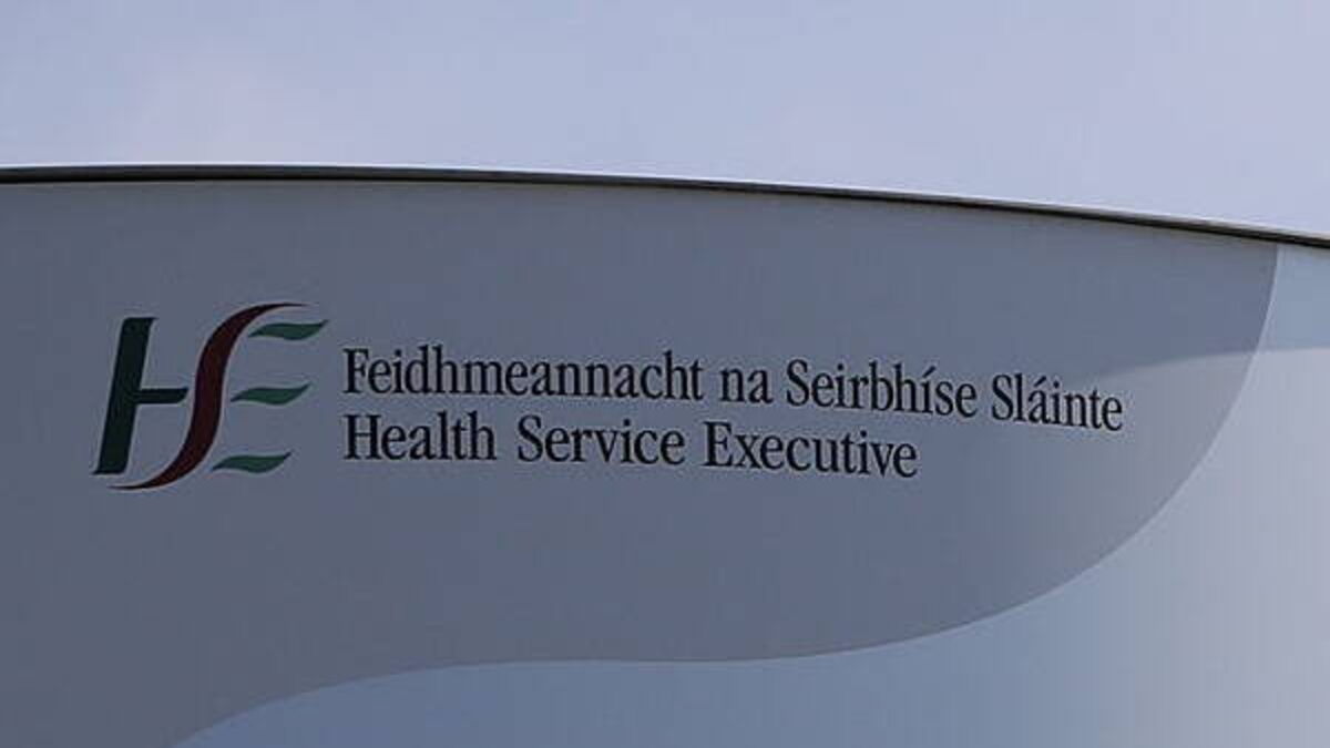 HSE staff from immigrant backgrounds reluctant to report racism due to lack of action