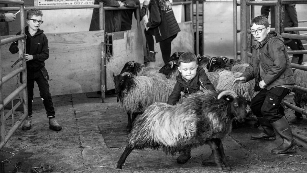 AIB Press Photographer of the Year exhibition returns to Mayo
