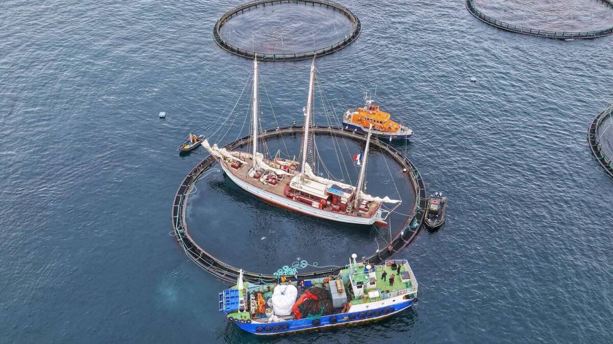 Sailing vessel was trapped in Clare Island fish farm 