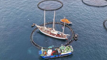 Sailing vessel was trapped in Clare Island fish farm 