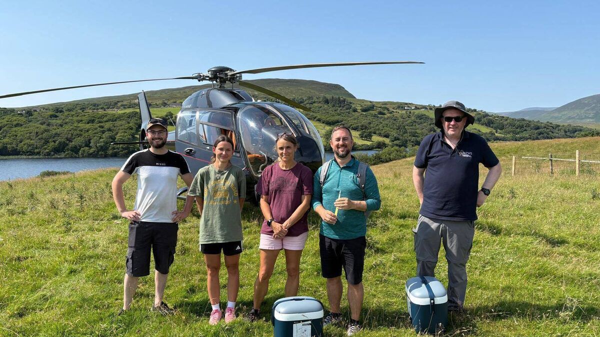 Endangered species airlifted to Mayo river