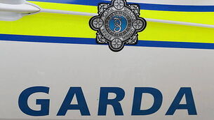 Motorsport Ireland urged to 'learn from mistakes' following death of rally driver