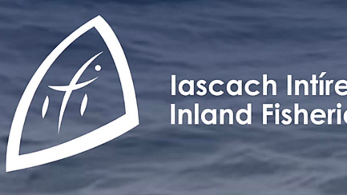 Inland Fisheries chair said agency 'still standing - even if not unscathed' after Oireachtas hearing