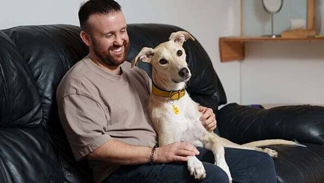 Irish owners say companionship is the thing they love most about dogs