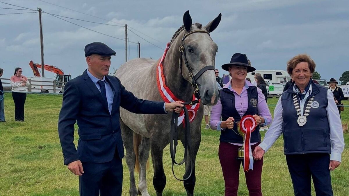 Local Notes: Swinford success at Bonniconlon Show