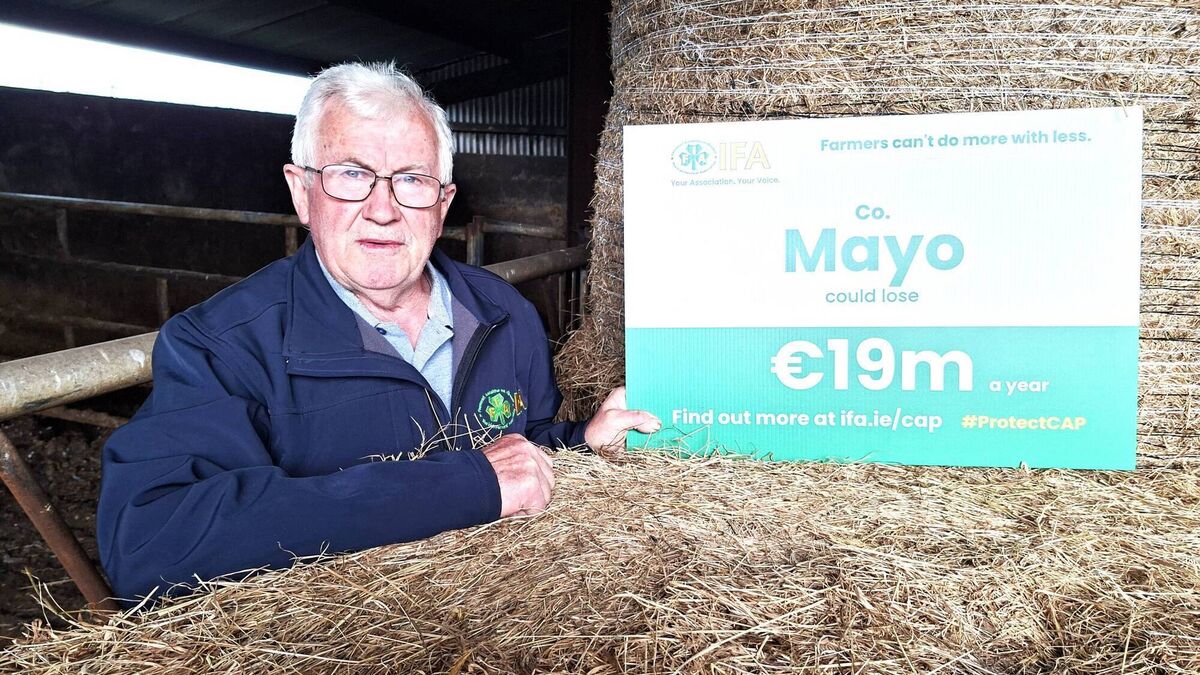 Mayo stands to lose €19m per year in next CAP