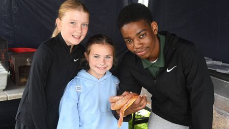 Local Notes: Round-up of news from the North Mayo region Local Notes: Round-up of news from the North Mayo region