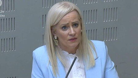 Fianna Fáil minister ‘categorically’ disagrees with Burnham on unity poll