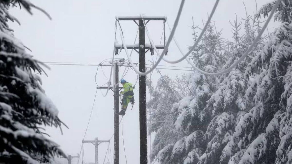 Councillors seek more updates on electricity outages