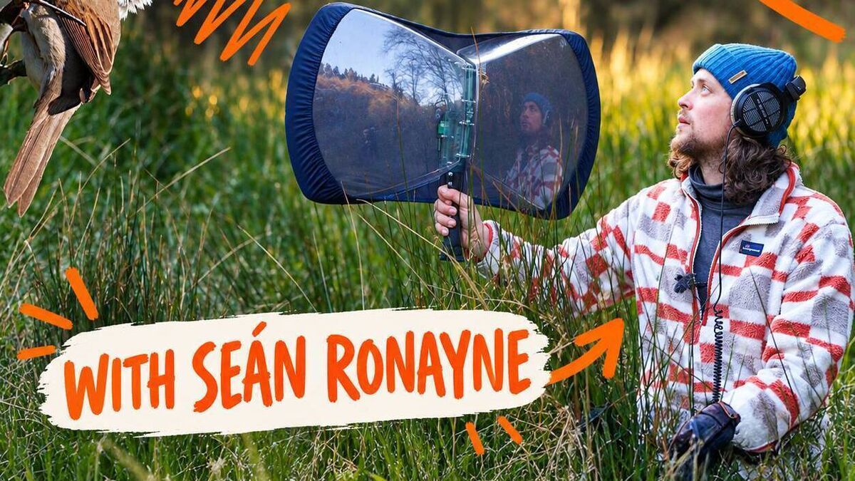 Seán brings 'Untold Sounds' to TF Royal Theatre