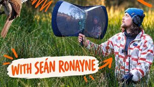 <p>Ornithologist Seán Ronayne brings his brand-new show, Untold Sounds, to Mayo on Friday, October 2, at 8pm.</p>