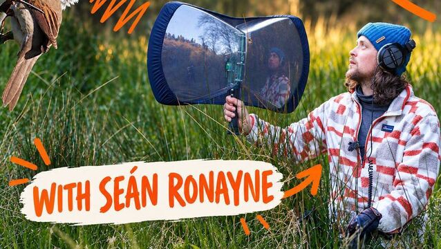 Seán brings 'Untold Sounds' to TF Royal Theatre