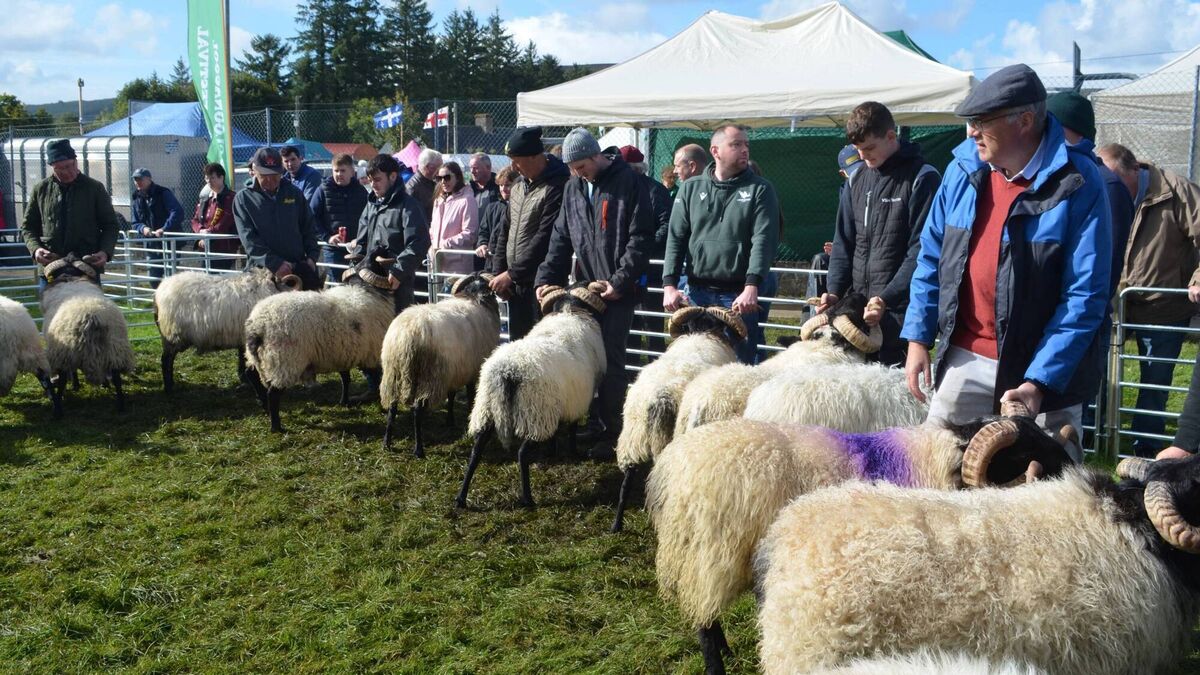 South Sligo community holds annual festival this week