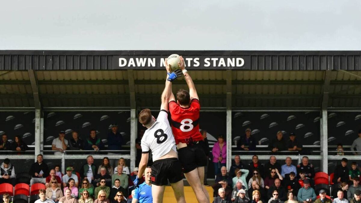 Kelly leads crusade as Davitts dig deepest