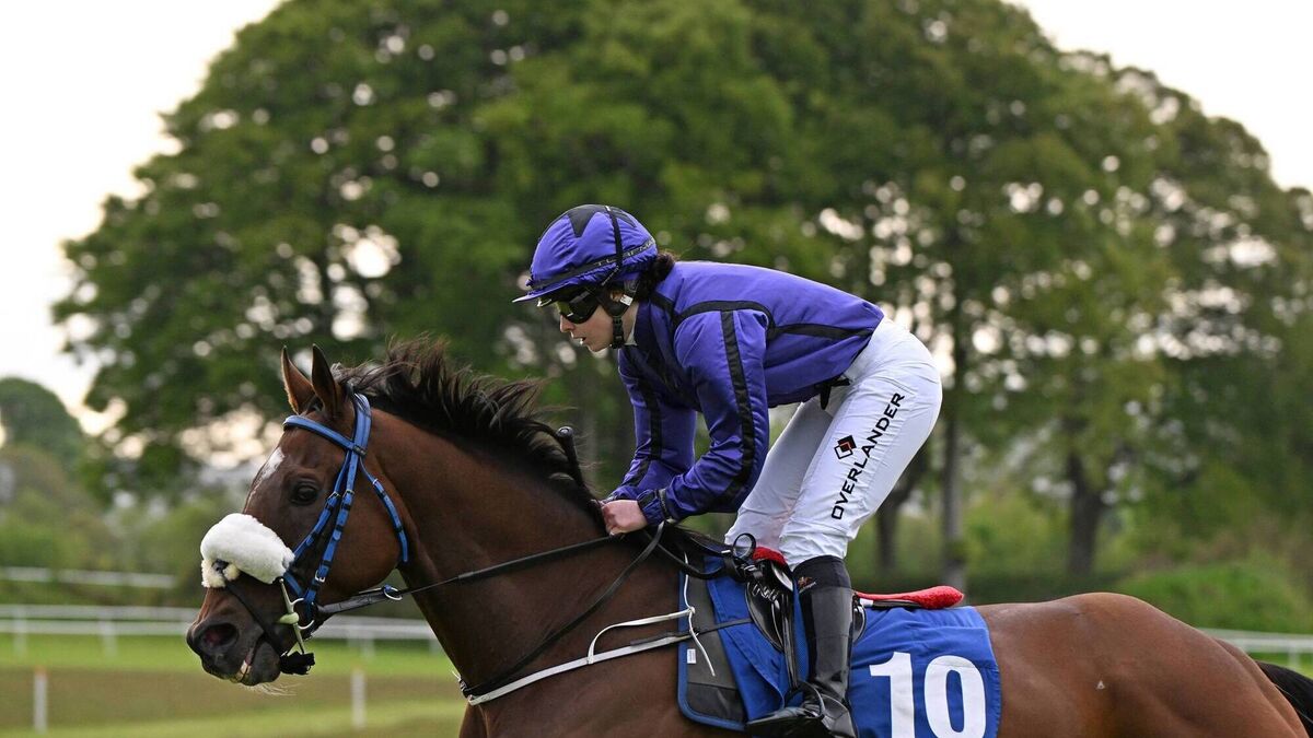 Exciting changes coming to Ballinrobe Racing calendar