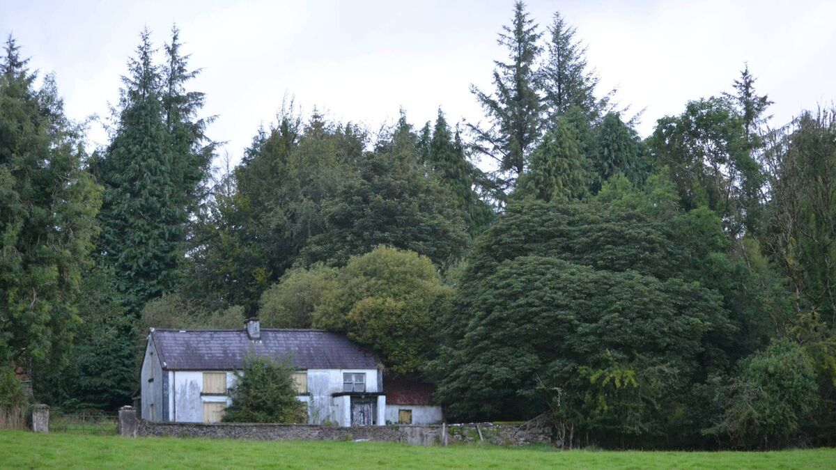‘Pine Trees’ – A home in the mountains