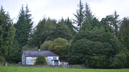 ‘Pine Trees’ – A home in the mountains