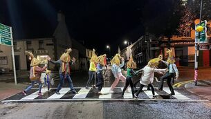 <p>Mummers in Foxford during Foxford Traditional Weekend. Picture: Edwina Guckian</p>