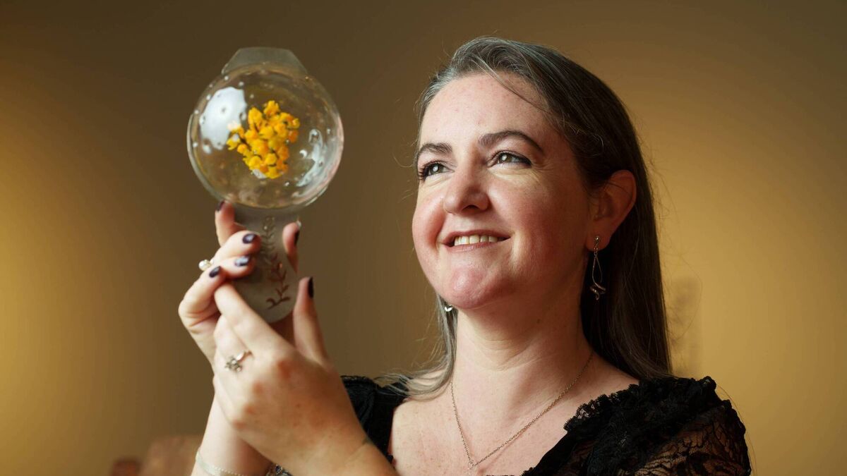 Mayo artist to feature in new exhibition