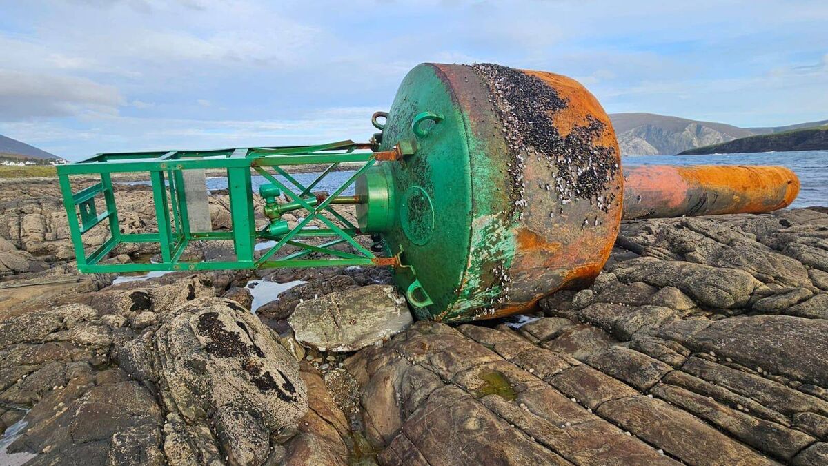 'Unusual visitor' from Canada washes up on Mayo coastline 