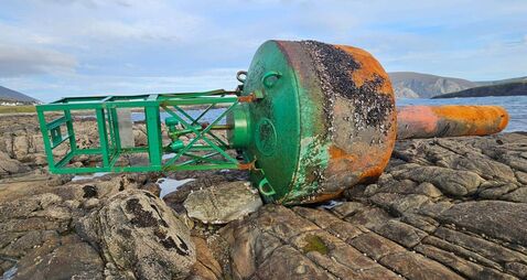 'Unusual visitor' from Canada washes up on Mayo coastline 