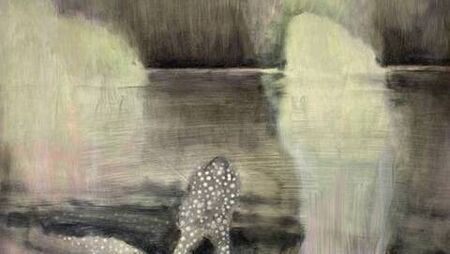 Meet the Artist at Ballina Arts Centre